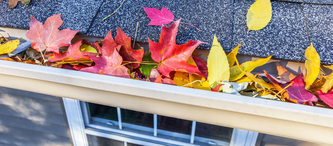 Home Improvements to Get Ready for Fall